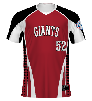 Augusta Sportswear Outfits Babe Ruth Baseball, Cal Ripken Baseball —  College Baseball, MLB Draft, Prospects - Baseball America